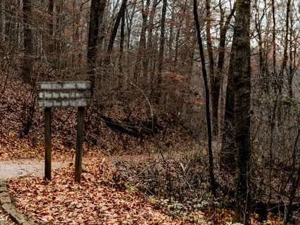 An Autumn Meditation