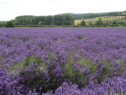 An Easy And Practical Guide To Managing Anxiety