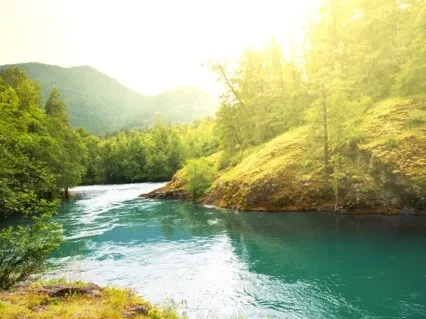 An Easy, Joyful Life