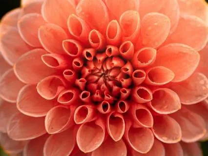 Relax And Restore - A Blessing To Support Your Blooming