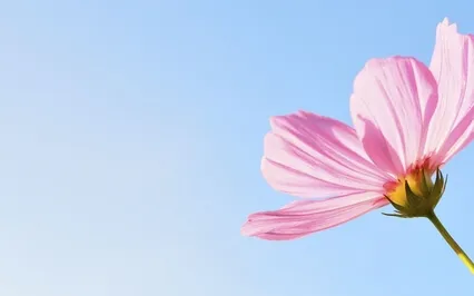 An Egocentric Society Does Not Feel Secure