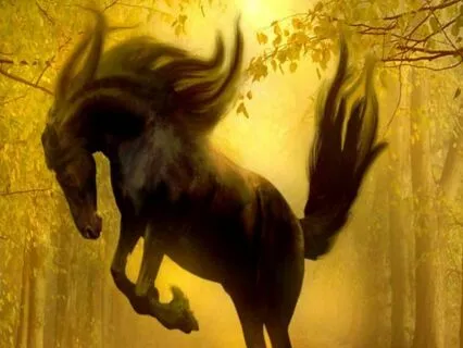 An Empath’s Guide To Boundaries For Emotional Harmony