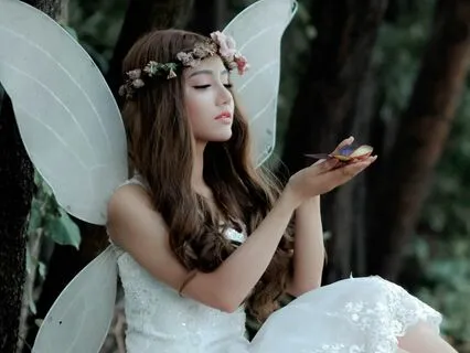 An Enchanting Journey To Fairy Land