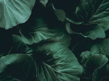 An Evening Practice As You Drift Off To Sleep