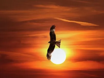 An Evening Reflection For Rest And Renewal