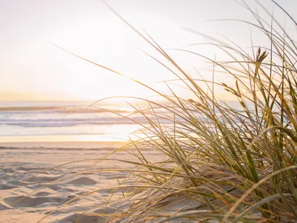 An Exercise In Enlightment