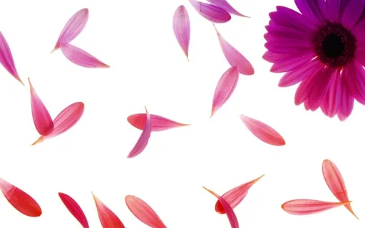 An Exercise In Letting Go!