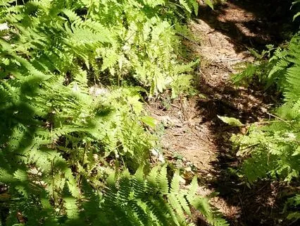 An Exploration Of Interweaving Within Ourself