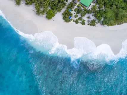 An Exploration Of The Busy Mind