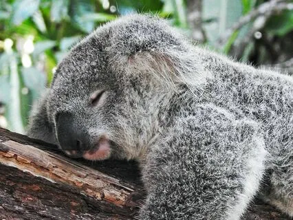 An Extended Way To Get To Sleep