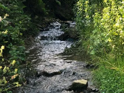 An Hour By A Yorkshire Stream