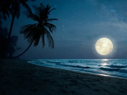 An Hour With The Midnight Sea