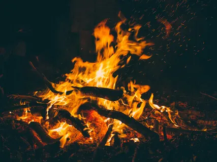 An Hour With The Night Birds