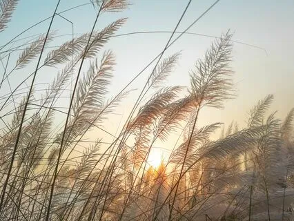 An Illuminating Pause With The Sunray Chime