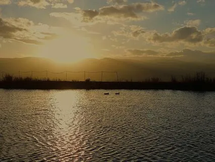 An Infinite DreamScape