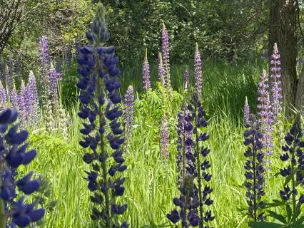 An Inner Glow Of Optimism