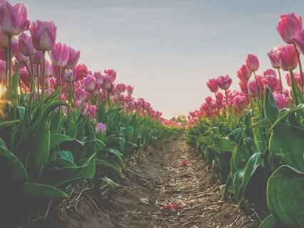 An Intentional Day - Morning Mindfulness