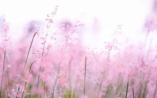 An Intentional Moment Guided Meditation