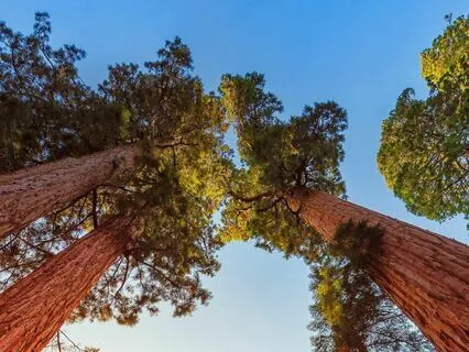 Connecting To Your Eco Spiritual Self