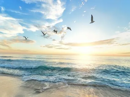 An Introduction To EFT Tapping