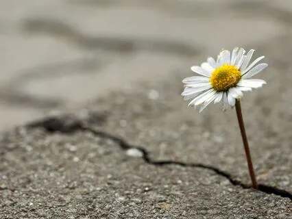 An Introduction To Intuitive Guidance