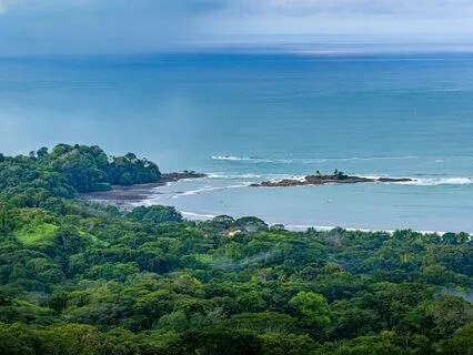 4444 Sama Vritti (Box Breath) To Rainforest & Crickets