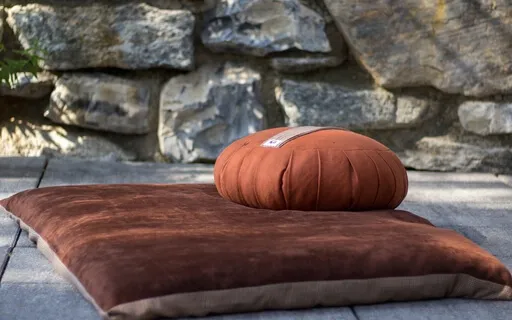 An Introduction To See Hear Feel