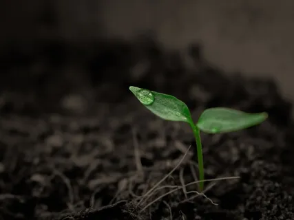 An Invitation To Joy With Melissa Lyons