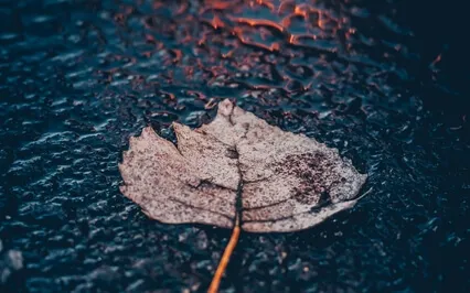 An Invitation To Let Go - Emotional Healing