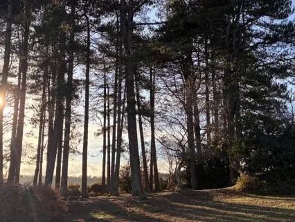 An Invitation To Pause & Simply Be...