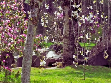 An Invitation To Play