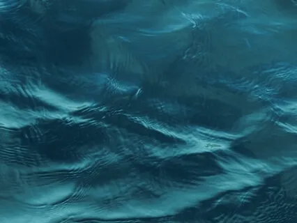 An Invitation To Trust Your Pace