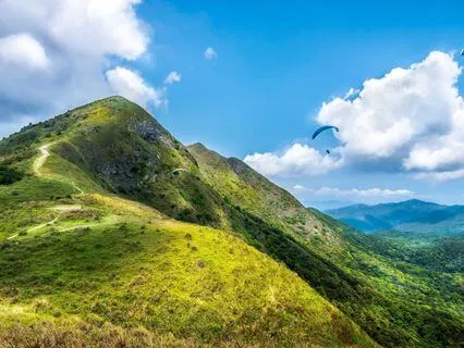 An Occurrence Of Gratitude