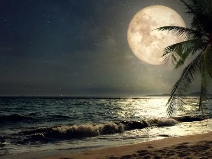 An Ocean Lullaby - Delta Binaural Beats & Pink Noise