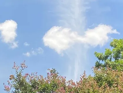 An Offering Of Grace