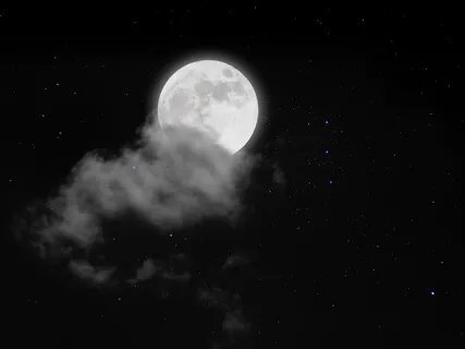 An Old Book And A Glass Of Wine (Piano And Fire Burning)