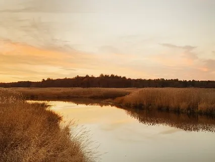 An Open Field At Dusk (Half-Hour Meditation)