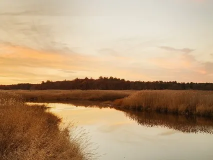 An Open Field At Dusk (Ten Minute Meditation)