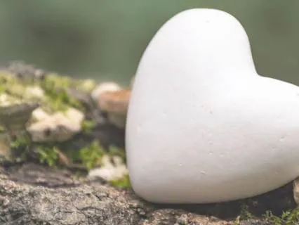 An Open Heart Morning Stillness Series Day 4
