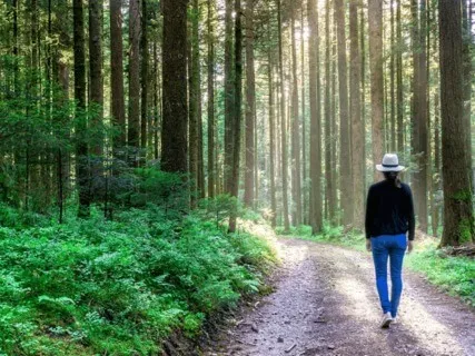 An Opportunity To Connect - Guided Meditation