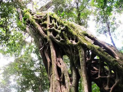 An Oracle Card Message From Your Business