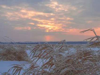 An Ordinary Moment: Watching My Son