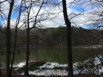 An Outdoor Walking Meditation For Tranquility