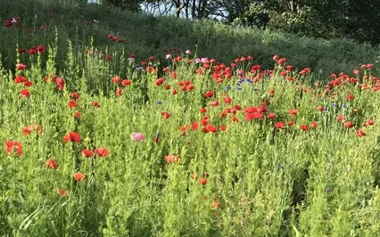 Anahata - Heart Chakra Meditation
