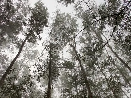 Analysis Of Feel Vol 5. Wind In B Pentatonic Minor