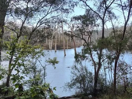 Analysis Of Feel Vol. 6 River In F#