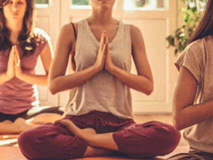 Anamaya Kosha/Body Layer