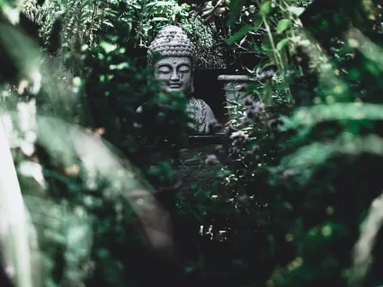 Anapanasati 15: Receptive Attention