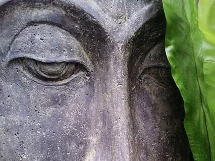 Anapanasati 18: No-Self