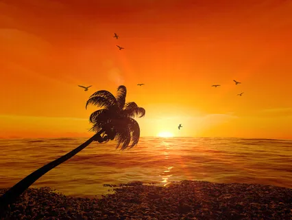 Anapanasati 8: Impermanence In The Practice Of Anapanasati